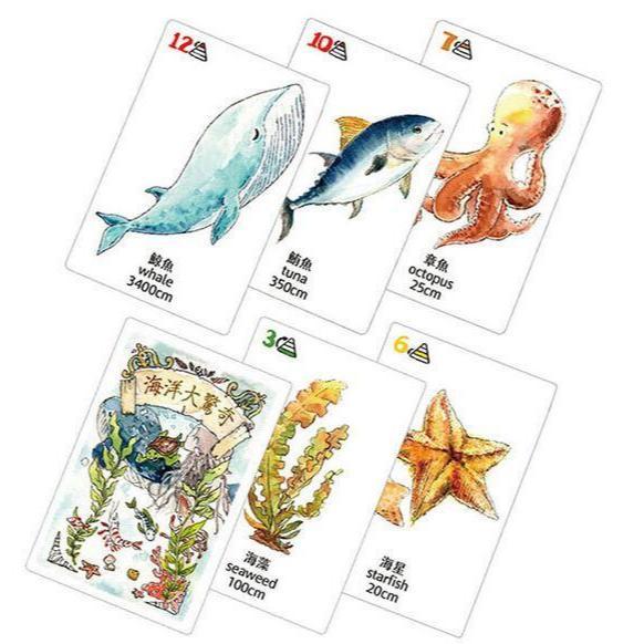 海洋大驚奇 食物鏈教育桌遊 Amazing Ocean Food Chain 繁體中文版 高雄龐奇桌遊-細節圖2