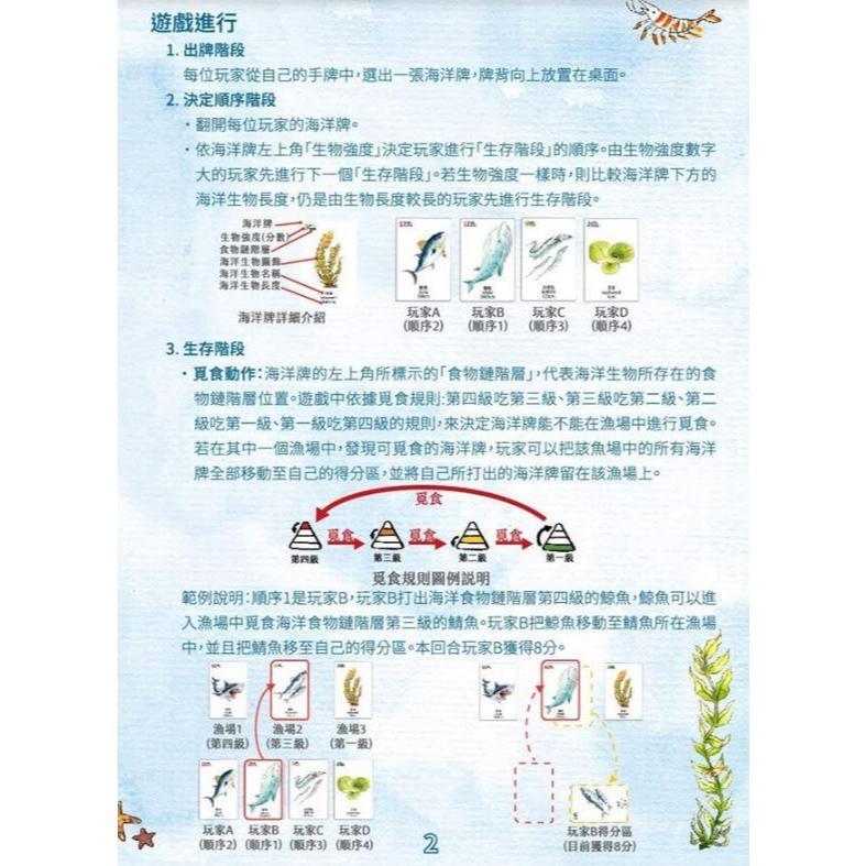 海洋大驚奇 食物鏈教育桌遊 Amazing Ocean Food Chain 繁體中文版 高雄龐奇桌遊-細節圖4
