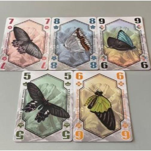 蝴蝶王國 Butterfly Kingdom 繁體中文說明書 高雄龐奇桌遊-細節圖2