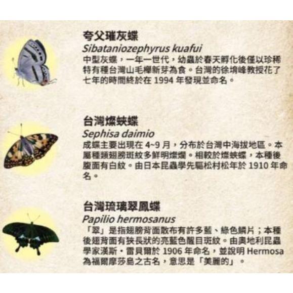 蝴蝶王國 Butterfly Kingdom 繁體中文說明書 高雄龐奇桌遊-細節圖3