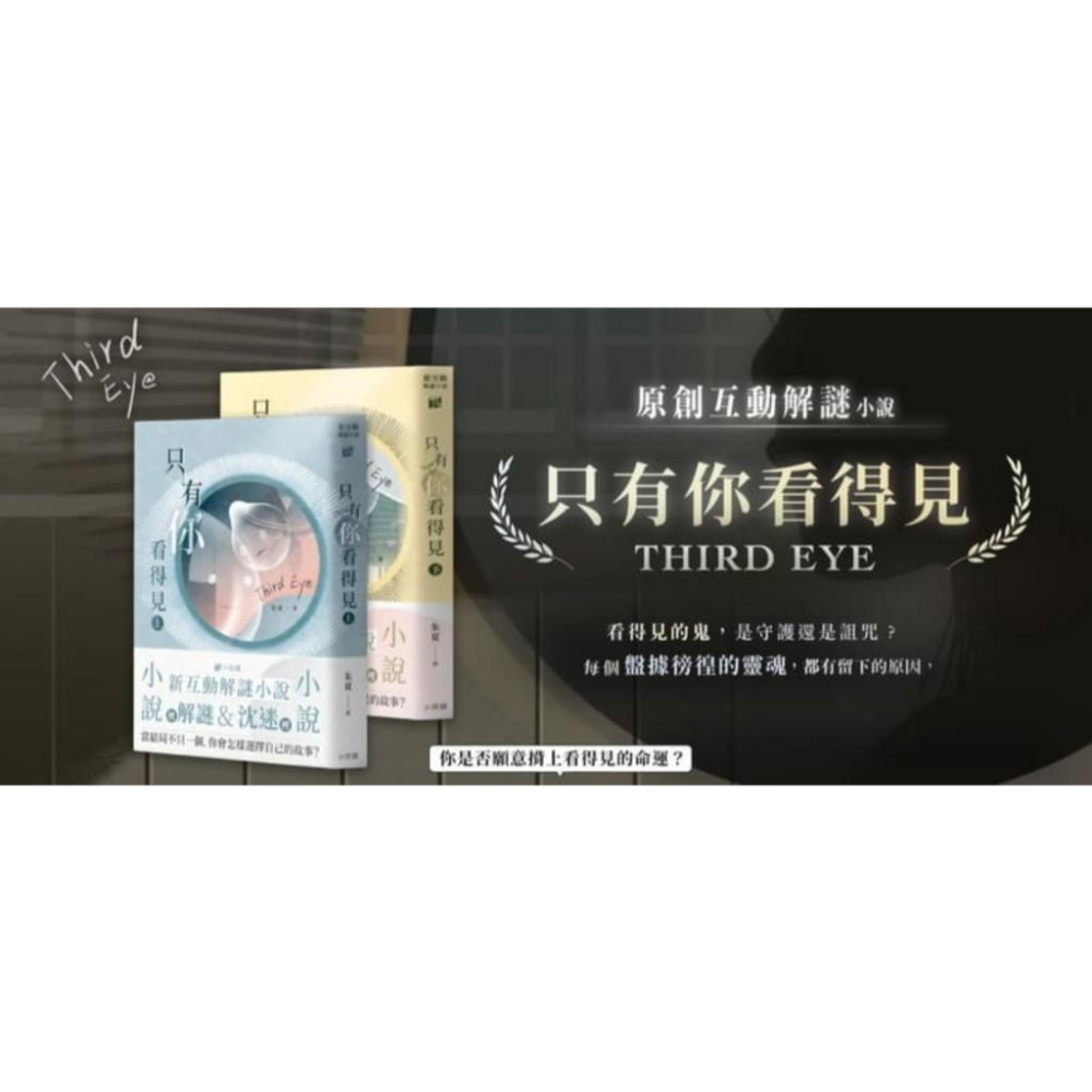 只有你看的見 上下集同捆 新互動解謎小說 繁體中文版 高雄龐奇桌遊-細節圖2