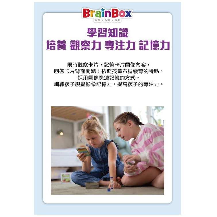 大腦益智盒 口袋版 國際足球 BRAIN BOX POCKET FOOTBALL 繁體中文版 高雄龐奇桌遊-細節圖4