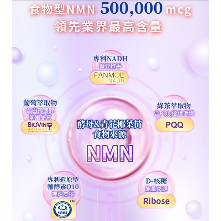 ( 現貨 ) 編哥 Gelovery  NMN+NADH燕窩酸再青春   30包/盒-細節圖2