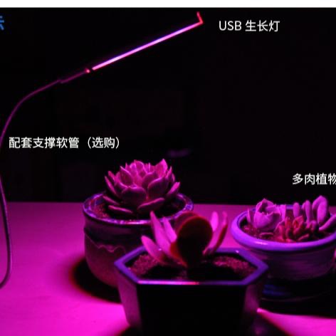 USB led 植物生長燈 室內仿太陽光 補光燈 全光譜 花卉 多肉 紅藍燈植物燈 盆栽燈 新款 全光譜 全波長 USB-細節圖4