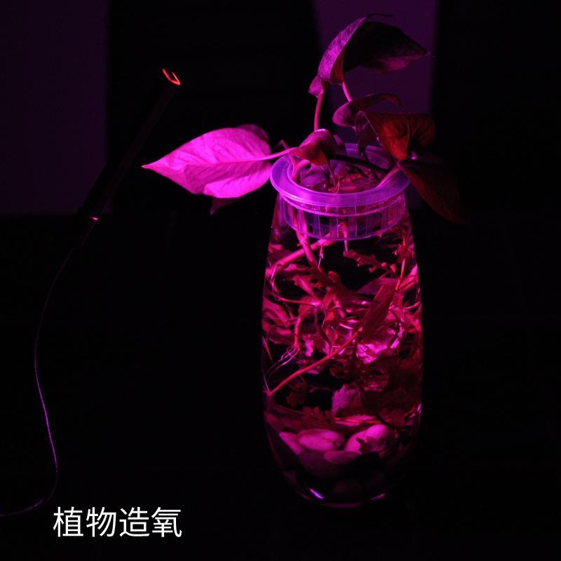 USB led 植物生長燈 室內仿太陽光 補光燈 全光譜 花卉 多肉 紅藍燈植物燈 盆栽燈 新款 全光譜 全波長 USB-細節圖5