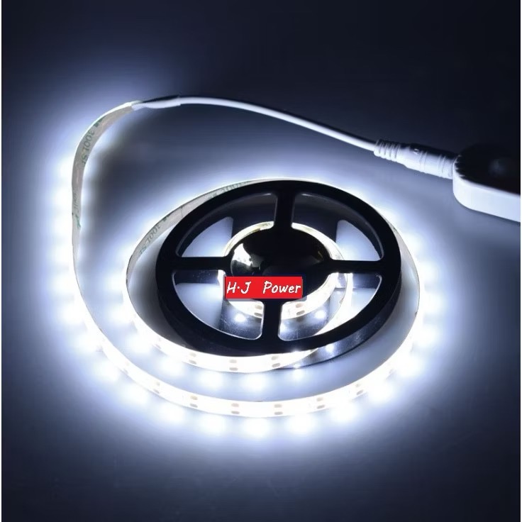 正白光 (2米LED+DC感應器主機)