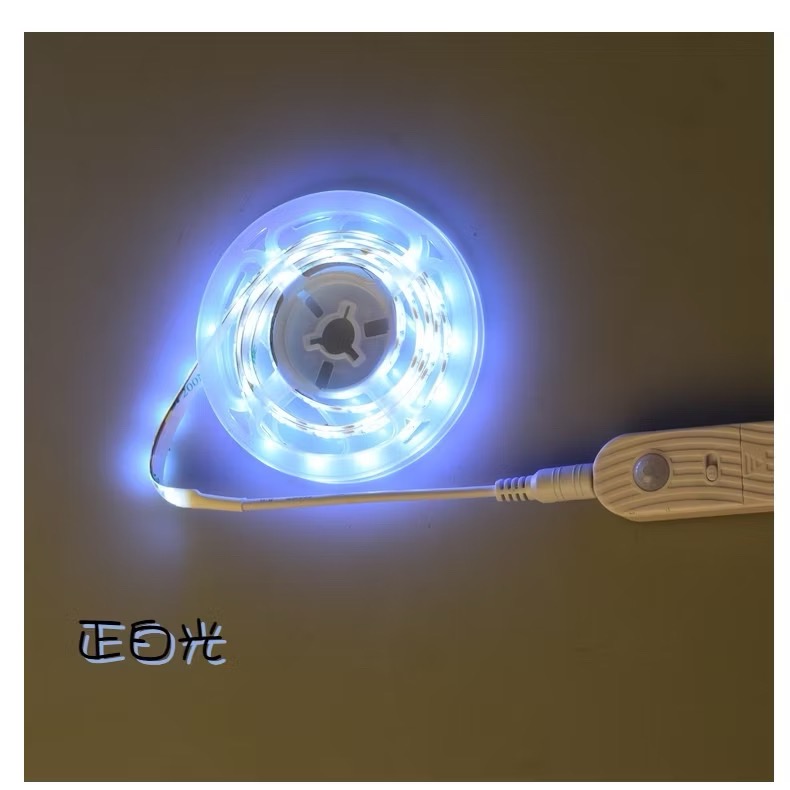 正白光 (3米DC感應鋰電池盒）2835珠