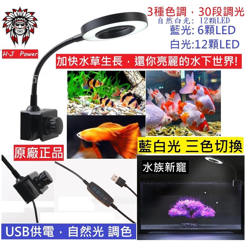台灣出貨 33段調光 綠色植物盆栽燈 全光譜 全波長 藍光USB LED植物生長燈 植物生長燈 紅藍燈光合作用 可定時-細節圖2
