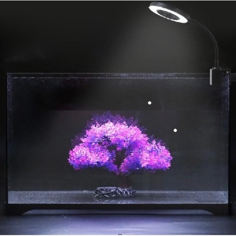 台灣出貨 33段調光 綠色植物盆栽燈 全光譜 全波長 藍光USB LED植物生長燈 植物生長燈 紅藍燈光合作用 可定時-細節圖3