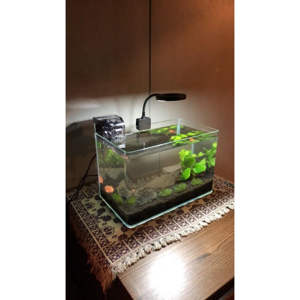 台灣出貨 33段調光 綠色植物盆栽燈 全光譜 全波長 藍光USB LED植物生長燈 植物生長燈 紅藍燈光合作用 可定時-細節圖8