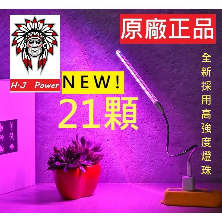 植物燈 盆栽燈 新款 全光譜 全波長 USB led植物生長燈 花卉燈 多肉植物燈 紅燈藍燈 太陽光合作用燈 植物補光燈-細節圖4