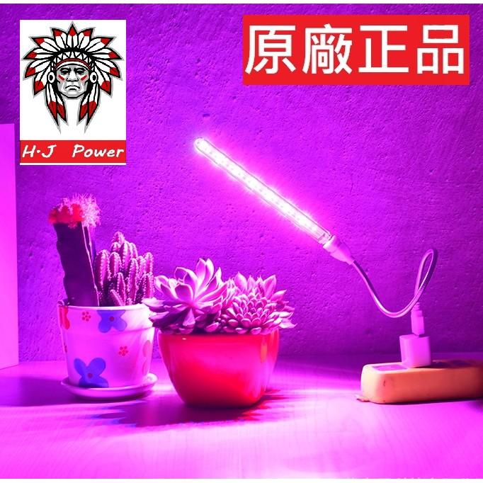 植物燈 盆栽燈 新款 全光譜 全波長 USB led植物生長燈 花卉燈 多肉植物燈 紅燈藍燈 太陽光合作用燈 植物補光燈-細節圖5