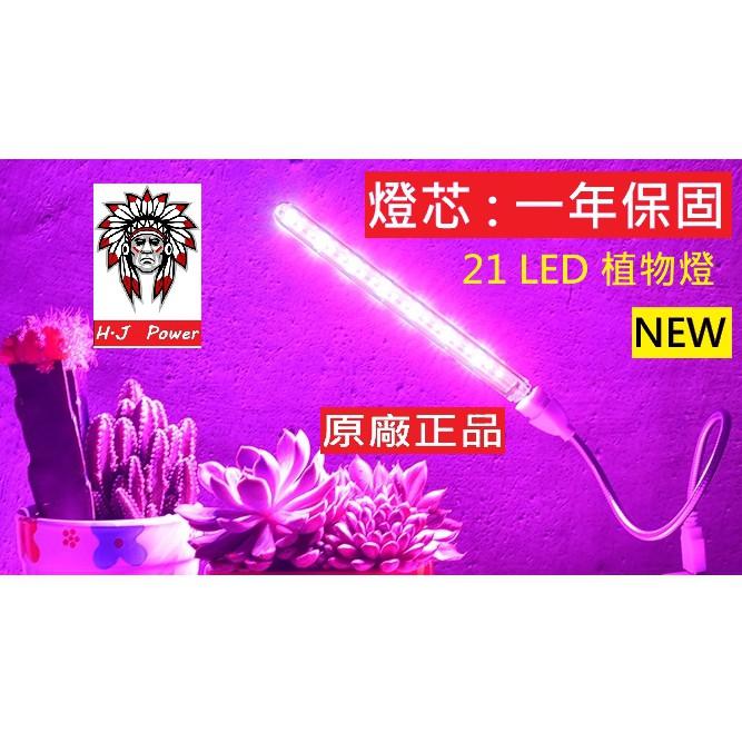 植物燈 盆栽燈 新款 全光譜 全波長 USB led植物生長燈 花卉燈 多肉植物燈 紅燈藍燈 太陽光合作用燈 植物補光燈-細節圖6