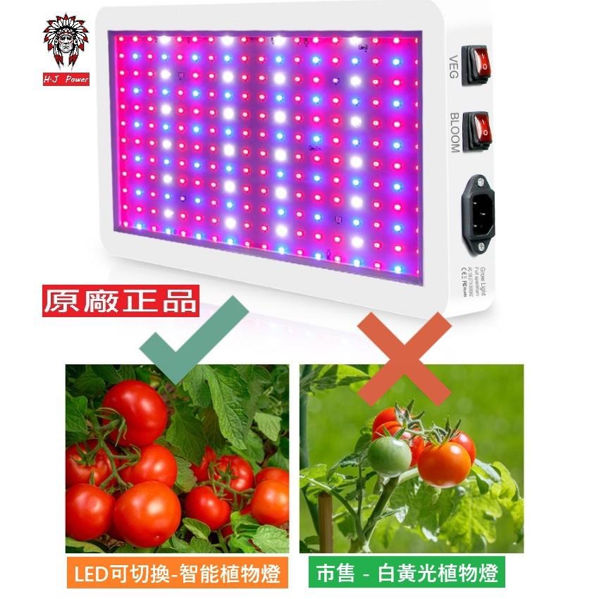 台灣 保固一年 大型植物燈盆栽燈 雙開關 全光譜 LED植物生長燈 多肉植物燈 紅藍燈 植物光合作用 全波長藍光USB-細節圖2