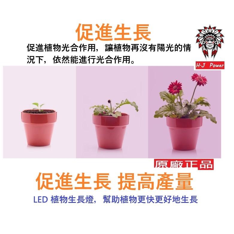 台灣 保固一年 大型植物燈盆栽燈 雙開關 全光譜 LED植物生長燈 多肉植物燈 紅藍燈 植物光合作用 全波長藍光USB-細節圖4