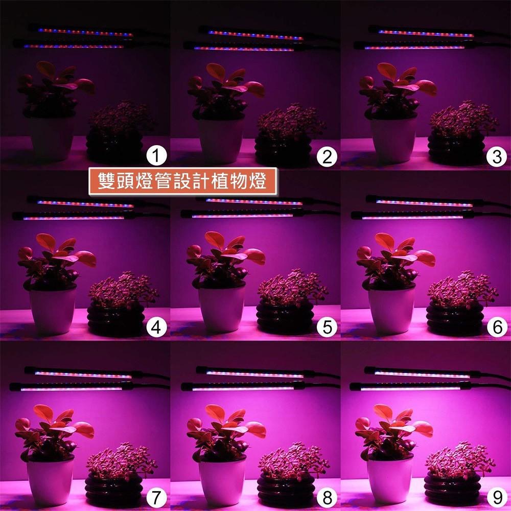 台灣原廠保固一年 遙控植物燈 植物生長燈 全光譜全波長 植物的光 UV光合作用 花卉多肉燈 綠色植物陽光燈 遙控自動關閉-細節圖8