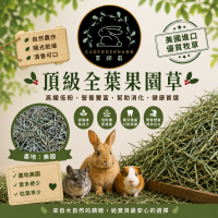 🍃草頭莊牧草🍃美國頂級全葉果園草【已過篩/未過篩】現貨