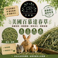 🍃草頭莊牧草🍃美國百慕達春草【已過篩/未過篩】現貨