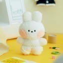 Line Friends 變裝公仔+服飾-規格圖3