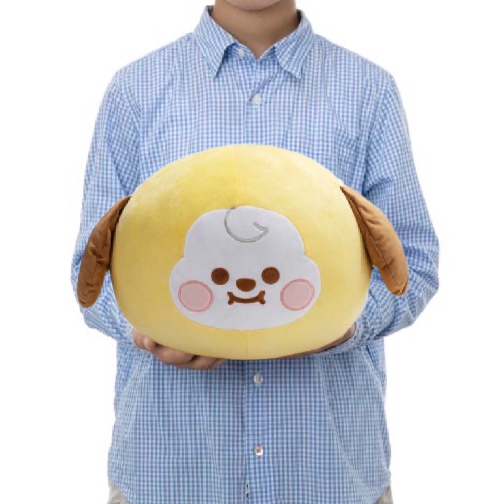 BT21 日本限定寶寶多尺寸抱枕-細節圖5