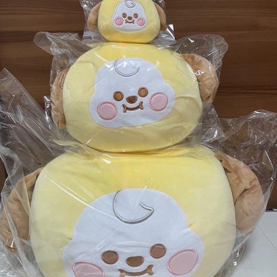 BT21 日本限定寶寶多尺寸抱枕-細節圖3