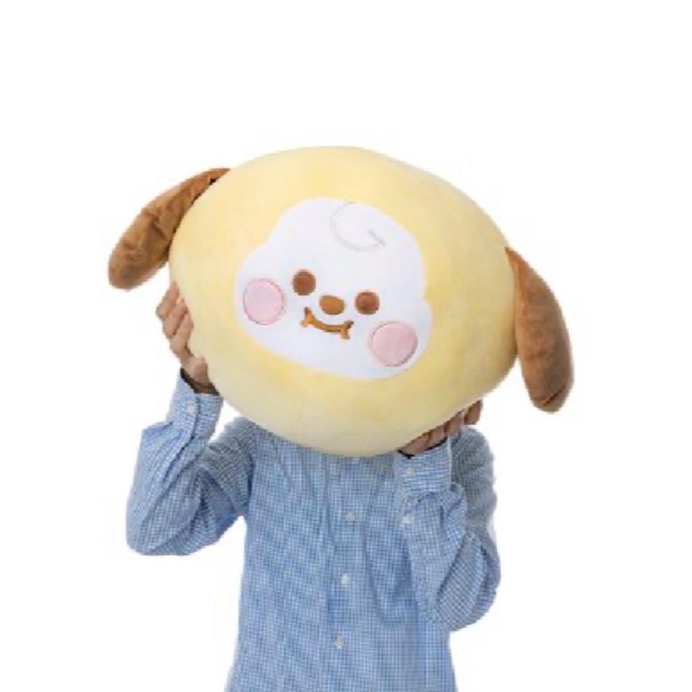 BT21 日本限定寶寶多尺寸抱枕-細節圖6