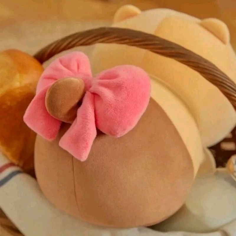 Kakao Friends 春植抱枕/玩偶-細節圖3