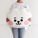 BT21 寶寶大抱枕-規格圖3