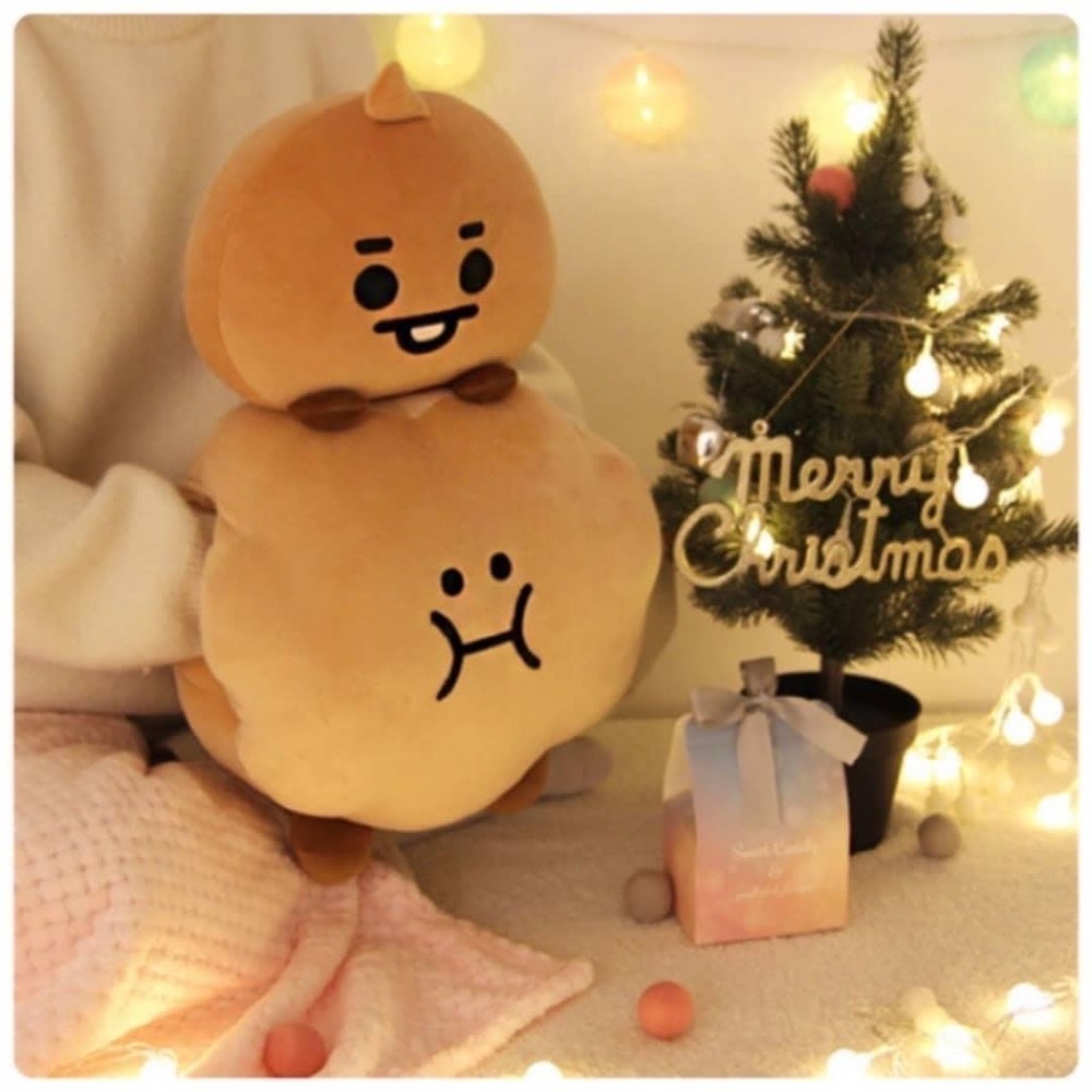 BT21 寶寶玩偶暖手抱枕-細節圖2