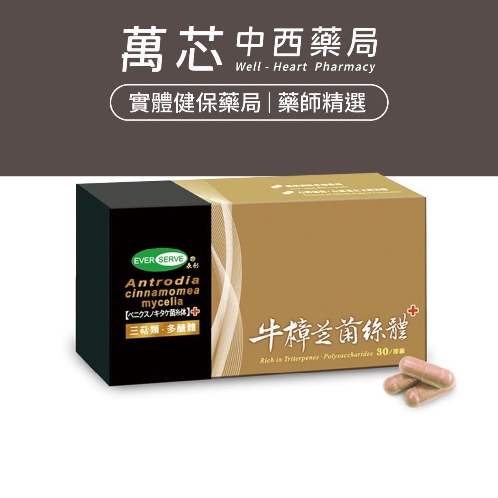 【長利奈米生技】牛樟芝菌絲體膠囊 (30粒/盒) │液態發酵、豐富三萜類與多醣體、調節生理機能