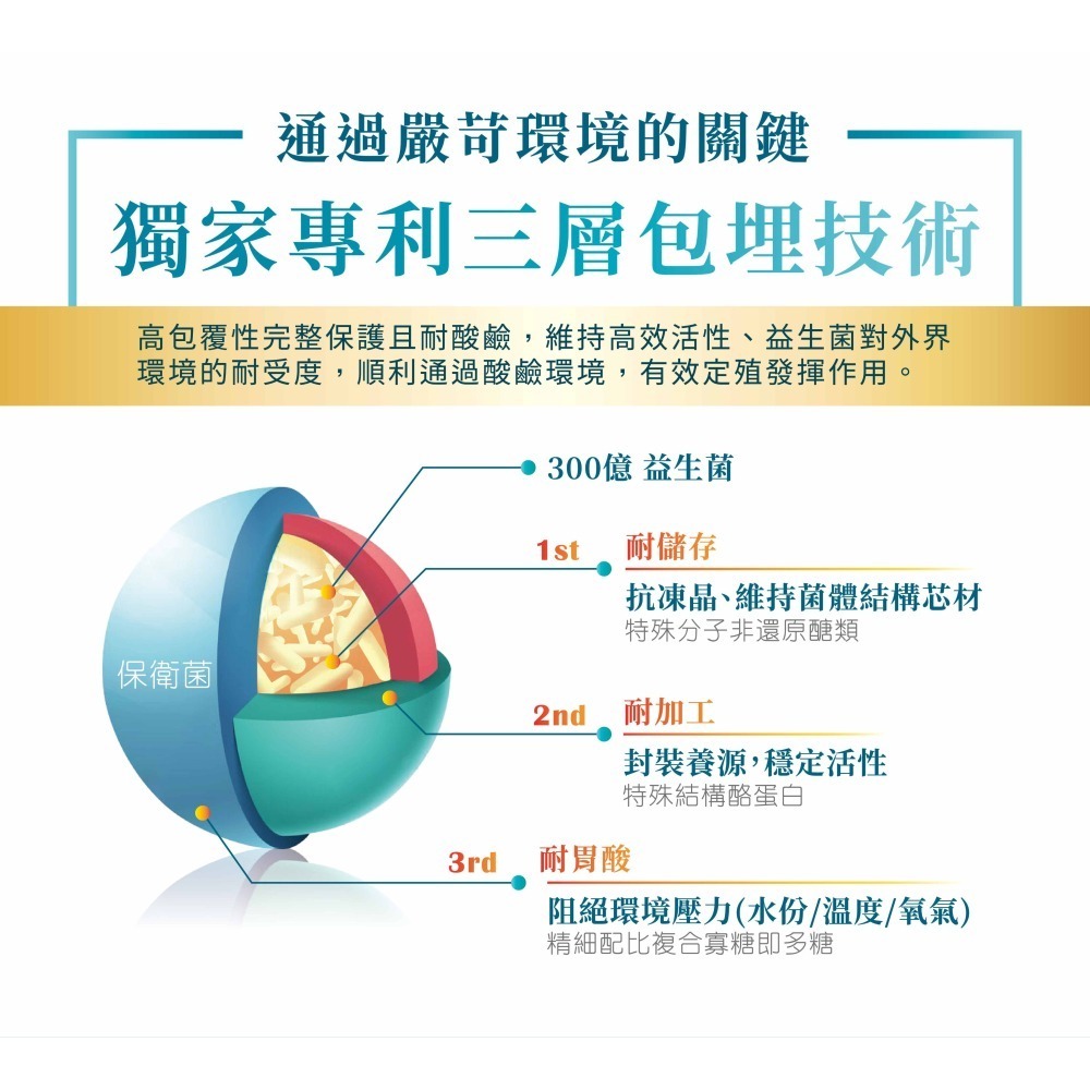 【金博氏】保衛菌益生菌 (30包/盒)-細節圖4