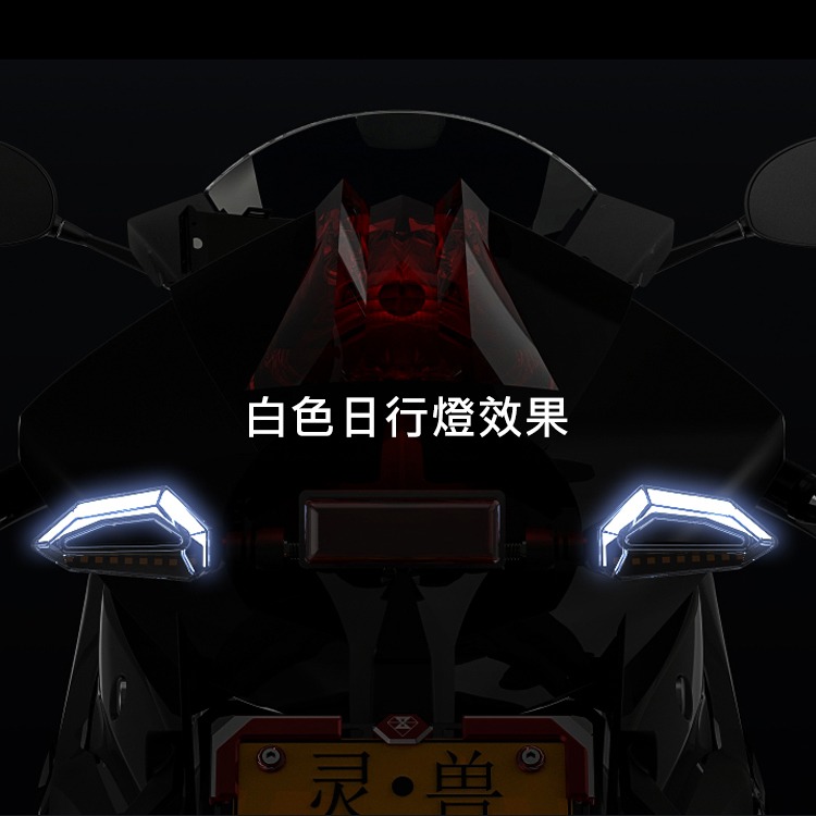 [靈獸]LED導光方向燈L10 無亮點日行燈 高亮方向燈 drg force 雷霆s 輕檔 重機 微笑-細節圖2