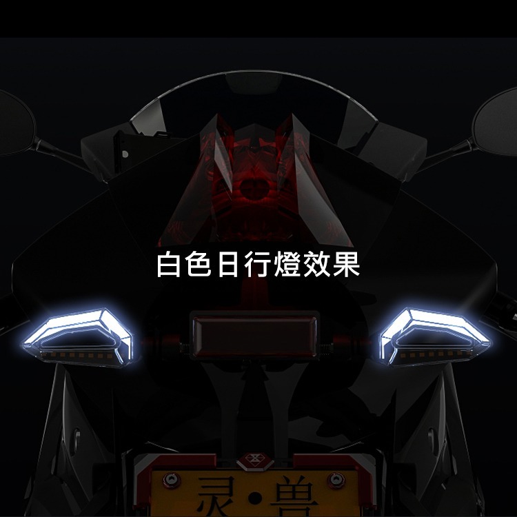 [靈獸]LED導光方向燈L10 無亮點日行燈 高亮方向燈 drg force 雷霆s 輕檔 重機 微笑-細節圖2