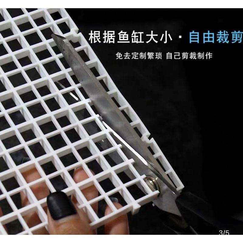 【楊媽媽水族】【我最便宜】魚缸隔板 底濾版 乾溼分離板 隔離板 魚缸隔離網魚缸隔離板 格板 網板 網片鳥籠 水族箱隔離板-細節圖3