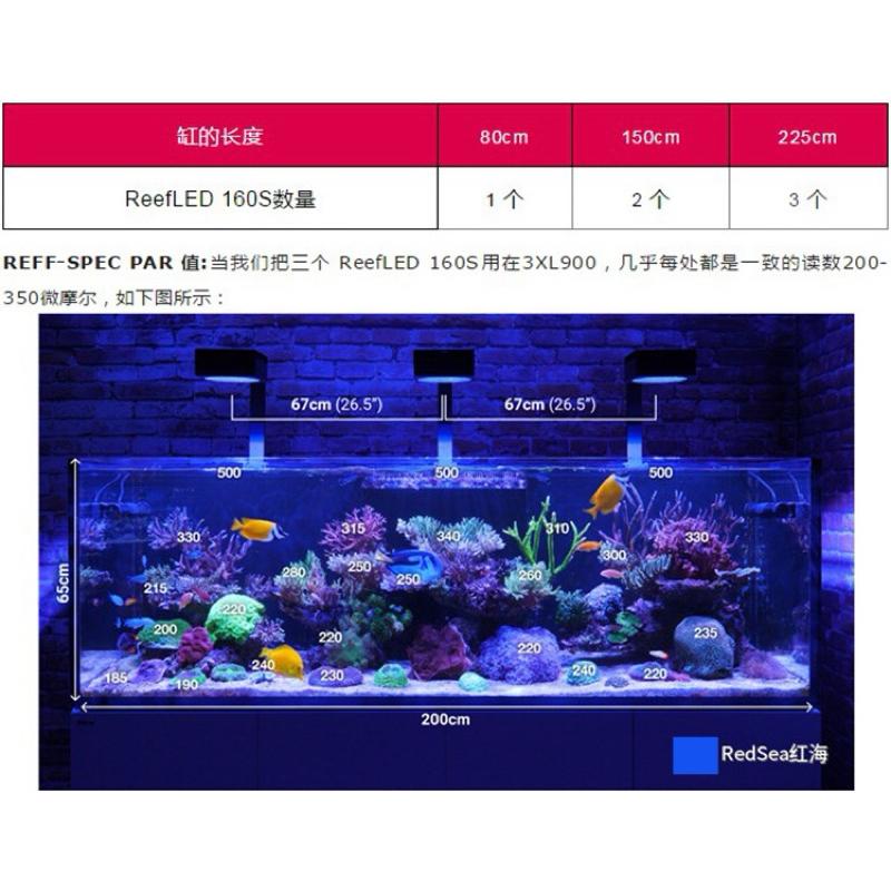 【楊媽海水】【免運紅海  Red Sea LED  智能LED燈 支架 吊架 燈具吊索  Reefer用 XL XXL-細節圖3