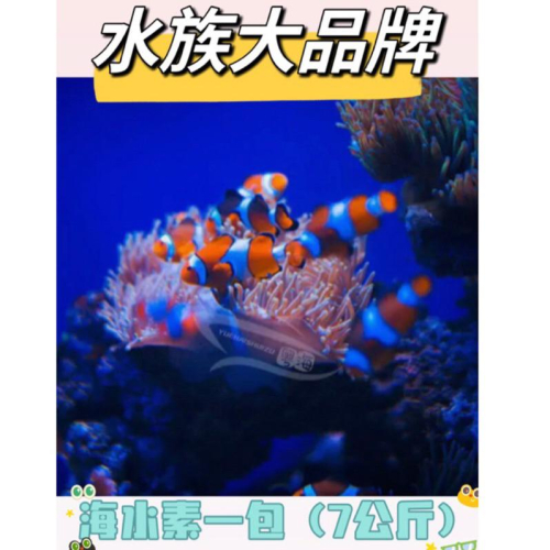 【楊媽媽海水】【7公斤一包海水素】珊瑚海鹽 （7KG）海水素 海水鹽 海水魚 軟體 海水缸 珊瑚 小丑魚