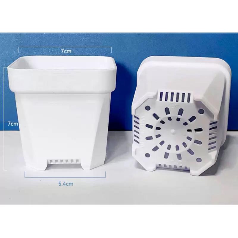 加厚矮盆🔥超值優惠價🔥控根盆、鹿角蕨、盆栽、育苗盆、多肉植物、透氣盆、悶盒-細節圖2