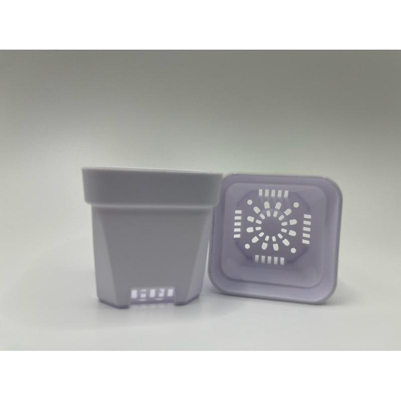 加厚矮盆🔥超值優惠價🔥控根盆、鹿角蕨、盆栽、育苗盆、多肉植物、透氣盆、悶盒-細節圖3