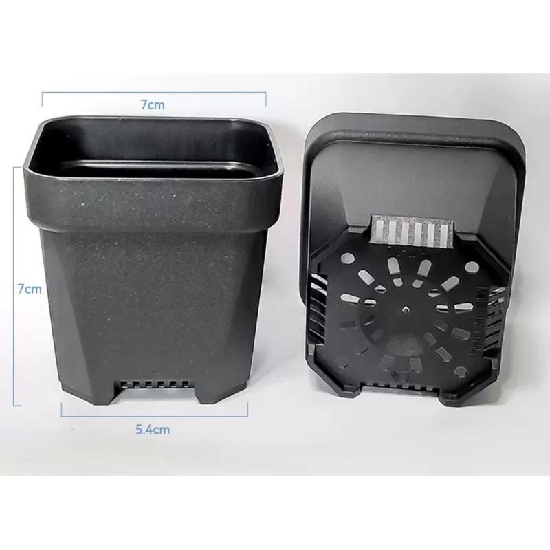 加厚矮盆🔥超值優惠價🔥控根盆、鹿角蕨、盆栽、育苗盆、多肉植物、透氣盆、悶盒-細節圖4