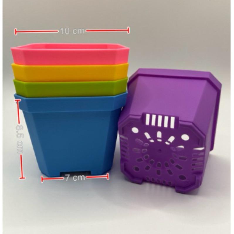 加厚矮盆🔥超值優惠價🔥控根盆、鹿角蕨、盆栽、育苗盆、多肉植物、透氣盆、悶盒-細節圖5