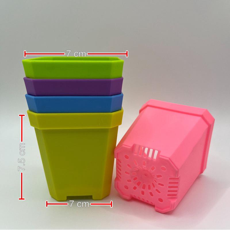 加厚矮盆🔥超值優惠價🔥控根盆、鹿角蕨、盆栽、育苗盆、多肉植物、透氣盆、悶盒-細節圖6