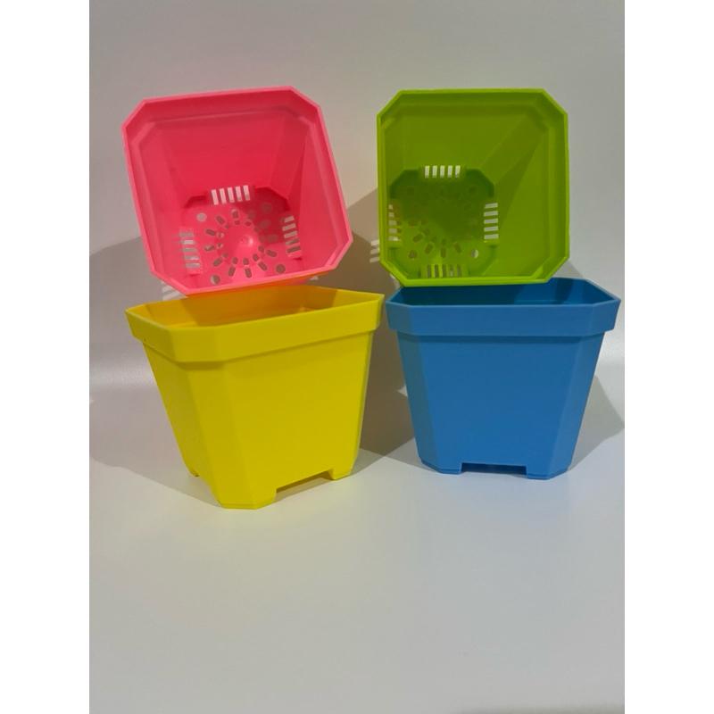 加厚矮盆🔥超值優惠價🔥控根盆、鹿角蕨、盆栽、育苗盆、多肉植物、透氣盆、悶盒-細節圖7