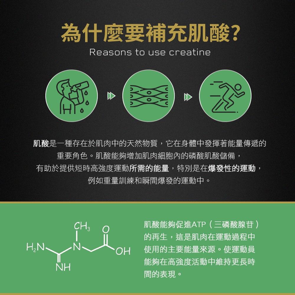 [美國ON官方授權經銷] Creatine 肌酸 微粉化 一水肌酸 Twinbrothers-細節圖3