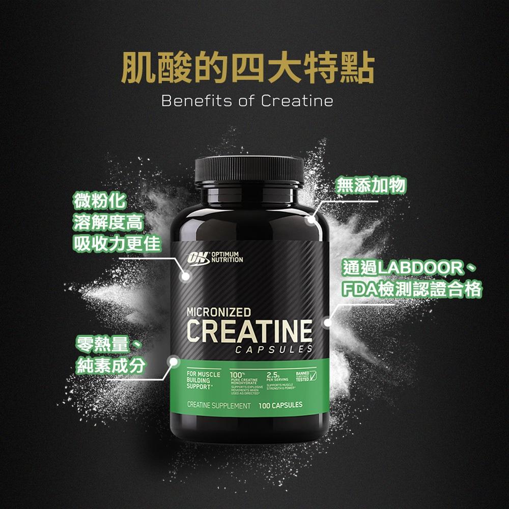 [美國ON官方授權經銷] Creatine 肌酸 微粉化 一水肌酸 Twinbrothers-細節圖4