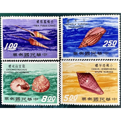 色彩艷麗孤品絕版民國60年2月台灣第一套以貝殼為題材郵票長嘴鳳凰螺 玉米螺 龍宮翁戎螺 小佛塔芋螺