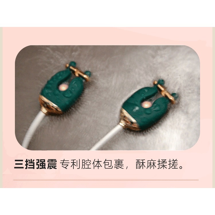 輕喃女用震動乳夾跳蛋項圈SM情趣套裝調教成人用品(不含牽引繩)-細節圖6