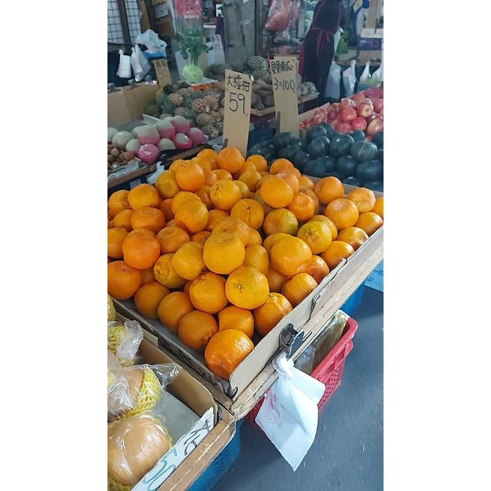 贈送自付運費-規格圖2