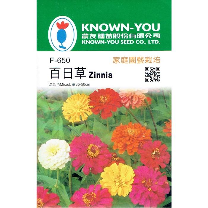 愛上種子  百日草 (大百日菊) 高性 花海品種 農友種苗 F-645-細節圖3