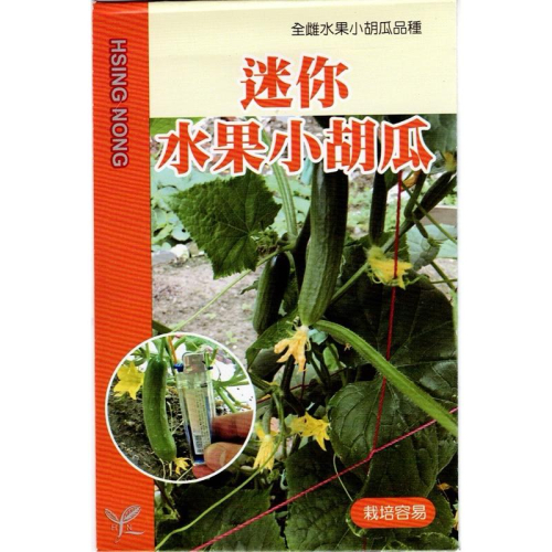 愛上種子 迷你水果小胡瓜 小黃瓜 興農種苗蔬果 種子 全雌品種 產地：日本