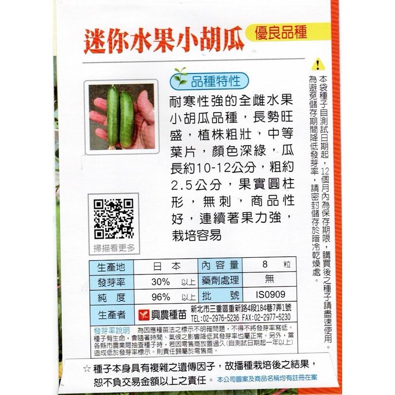 愛上種子 迷你水果小胡瓜 小黃瓜 興農種苗蔬果 種子 全雌品種 產地：日本-細節圖2